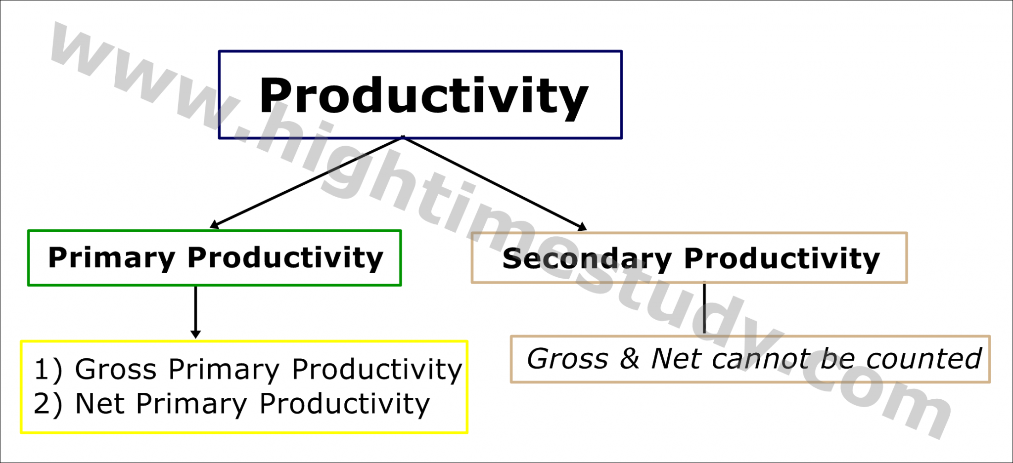 Productivity, Energy Flow & Efficiency – Ecosystem – HIGH TIME STUDY
